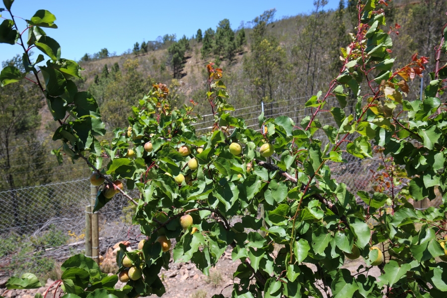 3 Bedroom Property for Sale in Plettenberg Bay Rural Western Cape